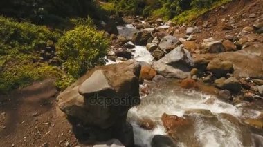 Nehir dağ ormanlarında. Camiguin Adası Filipinler.