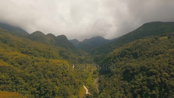 산속에 있는 열 대 숲. 카 미 구인 섬 필리핀. — 비디오