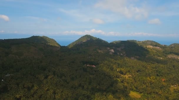 Βουνά με τροπικό δάσος. Νήσος Φιλιππίνες Cebu. — Αρχείο Βίντεο