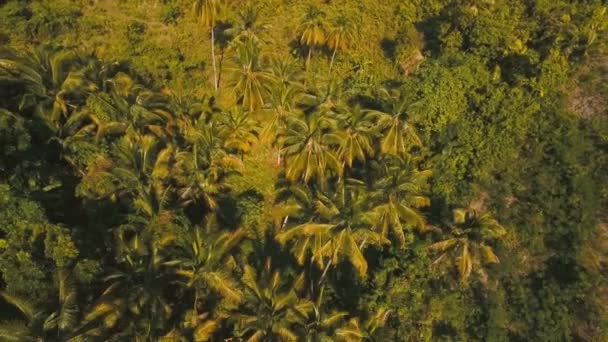 Hory s tropickým lesem. Filipíny Ostrov Cebu. — Stock video