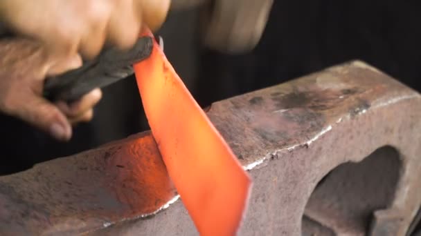 Blacksmith working metal with hammer. — Stock Video