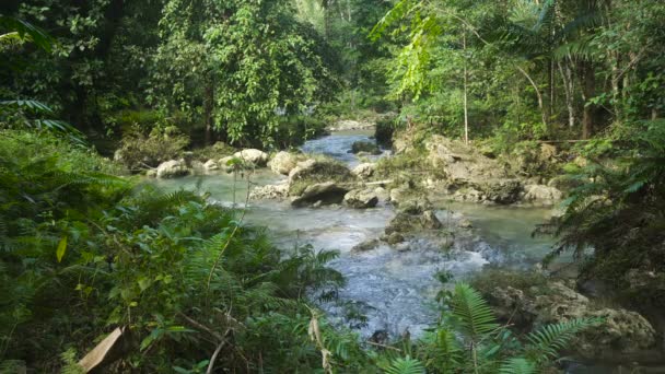 Río en la selva tropical — Vídeo de stock