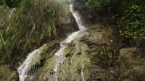 Vackra tropiska vattenfall. Filippinerna Cebu island. — Stockvideo