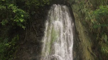 Güzel tropik şelale. Filipinler Cebu Adası.