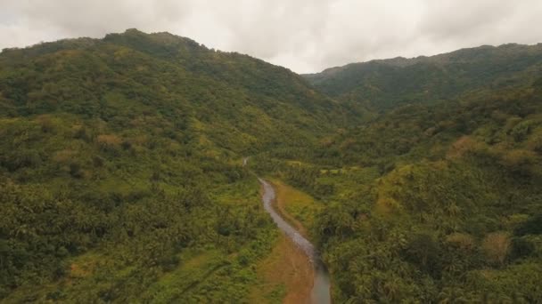 Mountain River az esőerdőben.Camiguin sziget Fülöp-szigetek. — Stock videók