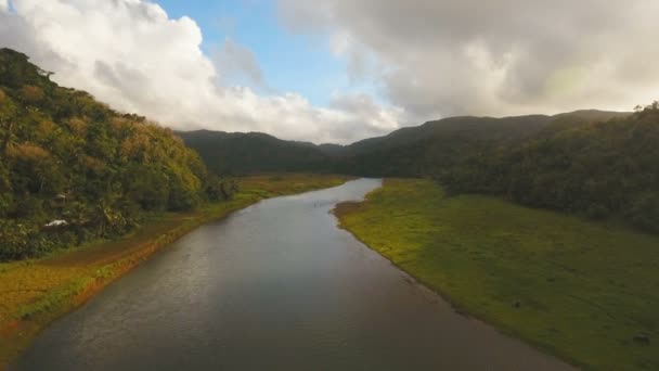 Mountain River az esőerdőben.Camiguin sziget Fülöp-szigetek. — Stock videók