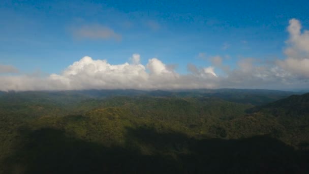 Montañas con bosque tropical. Filipinas Isla de Catanduanes . — Vídeo de stock