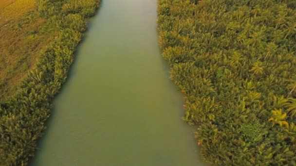 Forêt de mangroves en Asie. Philippines Catanduanes île .