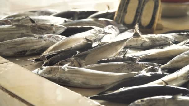 Рыба на азиатском рынке . — стоковое видео