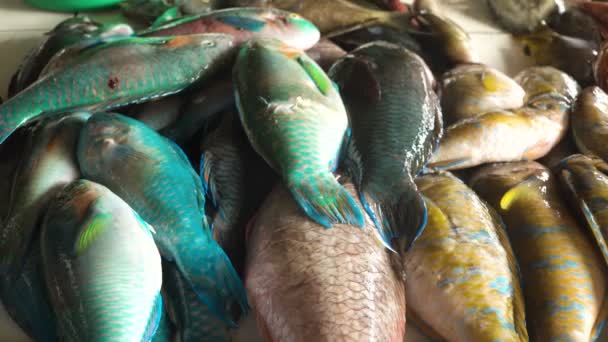 Peixe no mercado asiático. — Vídeo de Stock