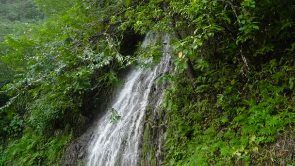 Vackra tropiska vattenfall. Filippinerna Cebu island. — Stockvideo