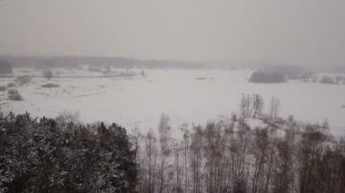 Kış manzara orman, alan, nehir. Kış manzarası