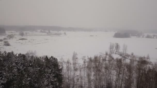 Paisagem de inverno com floresta, campo, rio.Paisagem de inverno — Vídeo de Stock