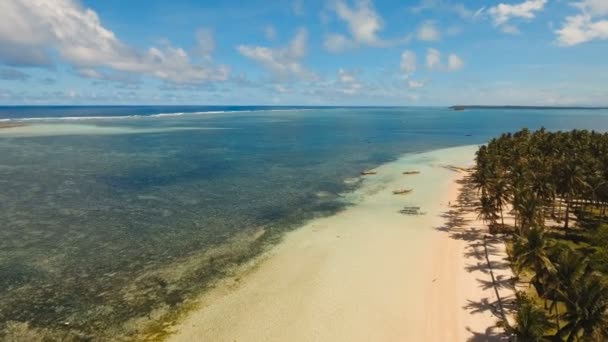 Antenn Visa vacker strand på en tropisk ö. Filippinerna, Siargao. — Stockvideo