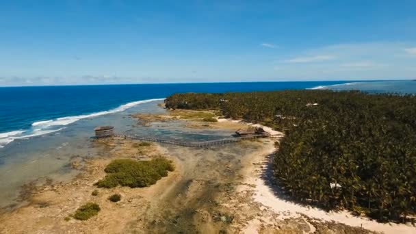 Moln nio surf point Flygfoto. Siargao, Filippinerna. Cloud 9. — Stockvideo