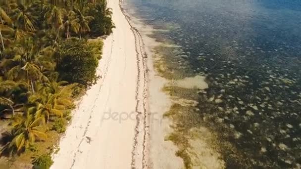 Vista aérea hermosa playa en una isla tropical. Filipinas, Siargao . — Vídeo de stock