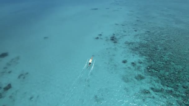 海、空撮のモーター ボート. — ストック動画