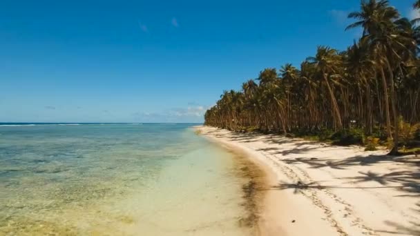 Antenn Visa vacker strand på en tropisk ö. Filippinerna, Siargao. — Stockvideo