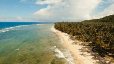 Hava güzel bir plaj tropikal bir adada görüntüleyin. Filipinler, Siargao.