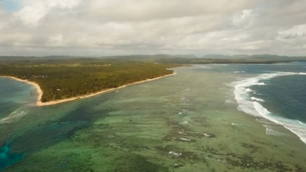 Antenn Visa vacker strand på en tropisk ö. Filippinerna, Siargao. — Stockvideo