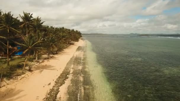 Vista aérea bela praia em uma ilha tropical. Filipinas, Siargao . — Vídeo de Stock