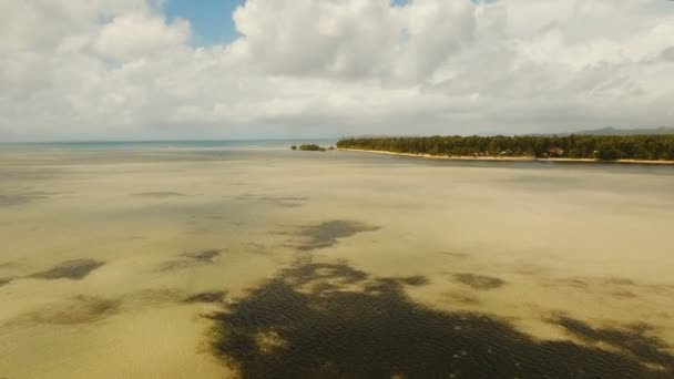 Antenn Visa vacker strand på en tropisk ö. Filippinerna, Siargao. — Stockvideo