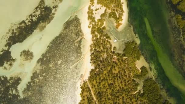 Letecký pohled krásné pláže na tropickém ostrově. Filipíny, Siargao. — Stock video