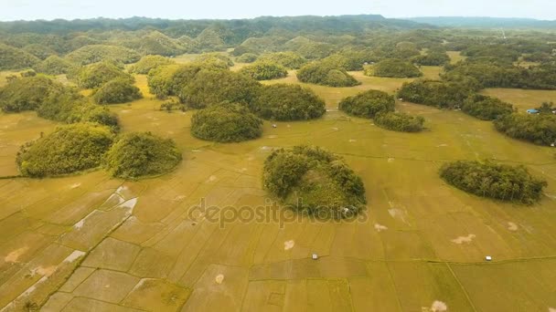 Čokoládové kopce v Bohol, Filipíny, letecký pohled. — Stock video