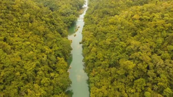 Rio Loboc na floresta tropical Filipinas, Bohol . — Vídeo de Stock