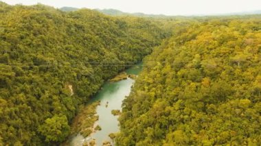 Cazibe zipline Bohol, Filipinler adadaki ormanda.