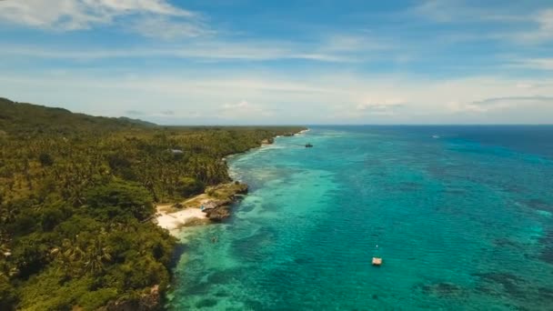 Vista aerea bellissima spiaggia su un'isola tropicale. Filippine, zona di Anda . — Video Stock