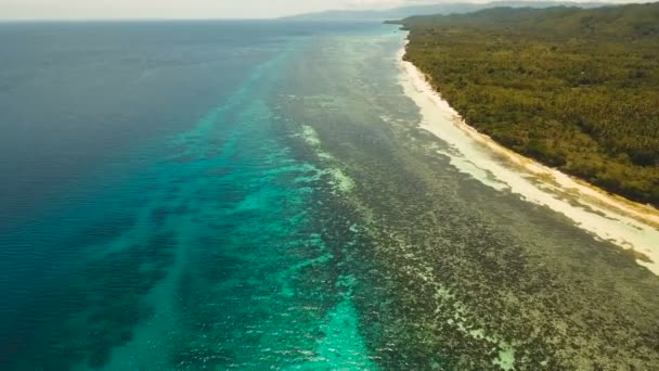 Luftaufnahme schöner Strand auf einer tropischen Insel. Philippinen, Andagebiet. — Stockvideo