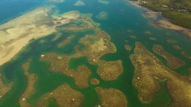 Flygfoto tropisk lagun, havet, stranden. Tropisk ö. Bohol, Filippinerna. — Stockvideo