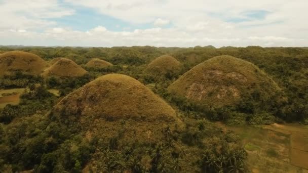 Шоколадні пагорби в Бохол, Філіппіни, пташиного польоту. — стокове відео