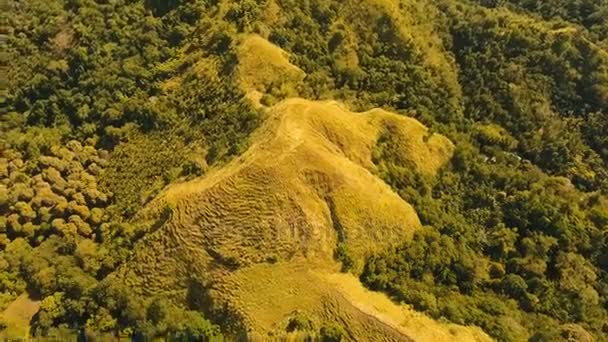 Montagnes avec forêt tropicale. Philippines Siargao île . — Video