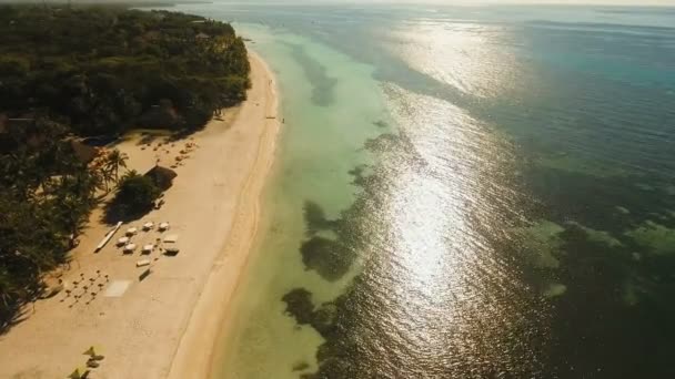 空中では、熱帯の島の美しいビーチを表示します。フィリピン、ボホール島. — ストック動画
