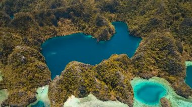 Filipinler, Coron, Palawan 'da tropikal bir adada Barakuda Gölü.