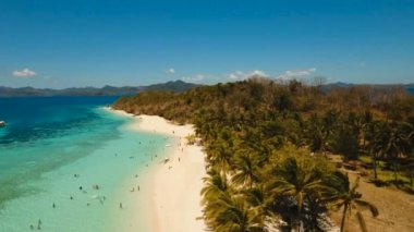 Havadan görünümü güzel plaj tropikal bir ada Malcapuya. Filipinler.