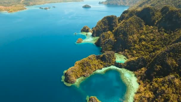 Flygfoto tropisk lagun, hav, strand. Tropiska ön. Busuanga, Palawan, Filippinerna. — Stockvideo