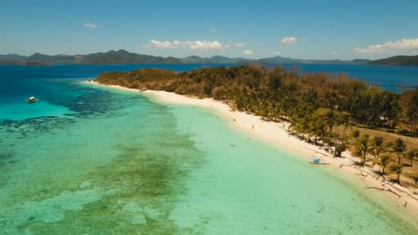 Havadan görünümü güzel plaj tropikal bir ada Malcapuya. Filipinler. — Stok video