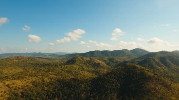 Tropikal orman ile Dağları. Filipinler Bohol Adası. — Stok video