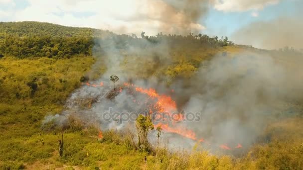 Vista aérea Incendio forestal. Busuanga, Palawan, Filipinas . — Vídeos de Stock