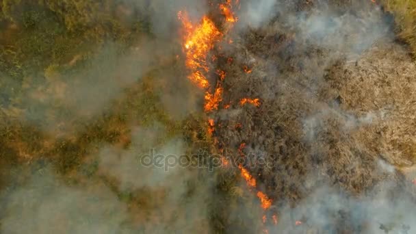 Vue aérienne Incendie de forêt. Busuanga, Palawan, Philippines .