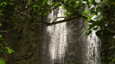 Güzel tropik şelale. Filipinler Bohol Adası.