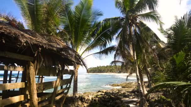 Tengerpart egy trópusi szigeten. Fülöp-szigetek, Siargao. — Stock videók