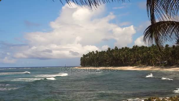 Пляж на тропическом острове. Филиппины, Siargao. — стоковое видео