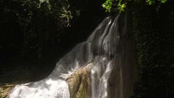 Vackra tropiska vattenfall. Filippinerna Bohol island. — Stockvideo