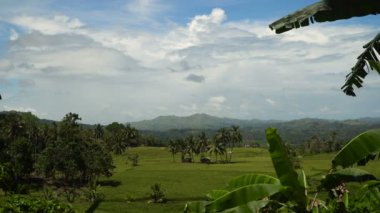 Tropikal orman ile Dağları. Filipinler Bohol Adası.