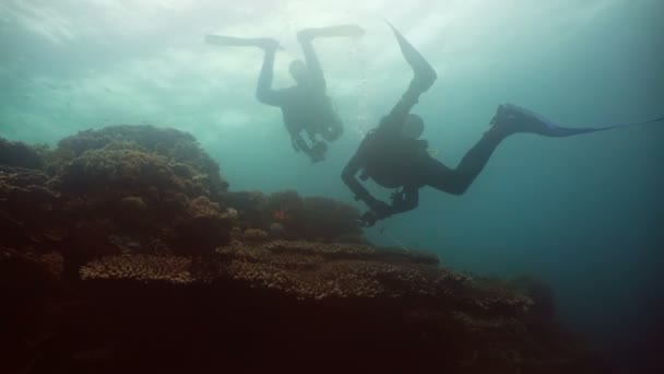 Potápěči pod vodou. — Stock video