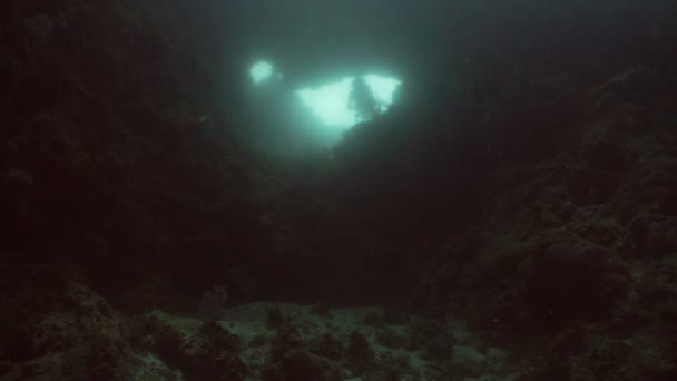 Scuba Divers underwater. — Stock Video